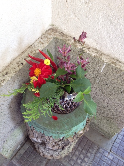 f:id:sprighascome:20151004150900j:plain f:id:sprighascome:20151004150900j:plain