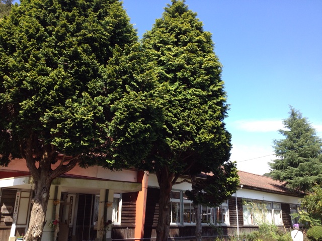 f:id:sprighascome:20151004151003j:plain f:id:sprighascome:20151004151003j:plain