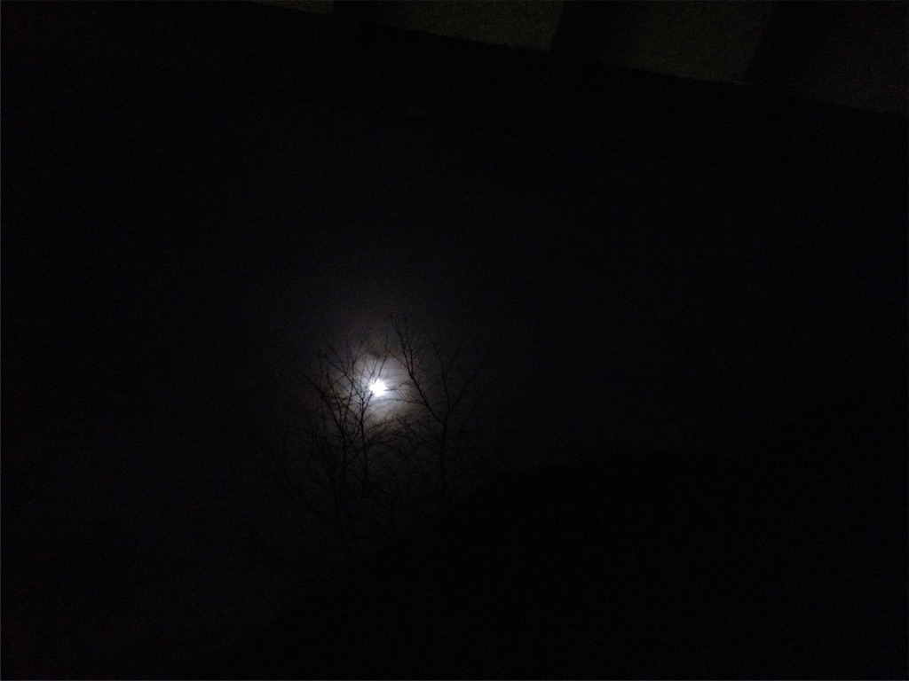 f:id:sprighascome:20151030222211j:image f:id:sprighascome:20151030222211j:image