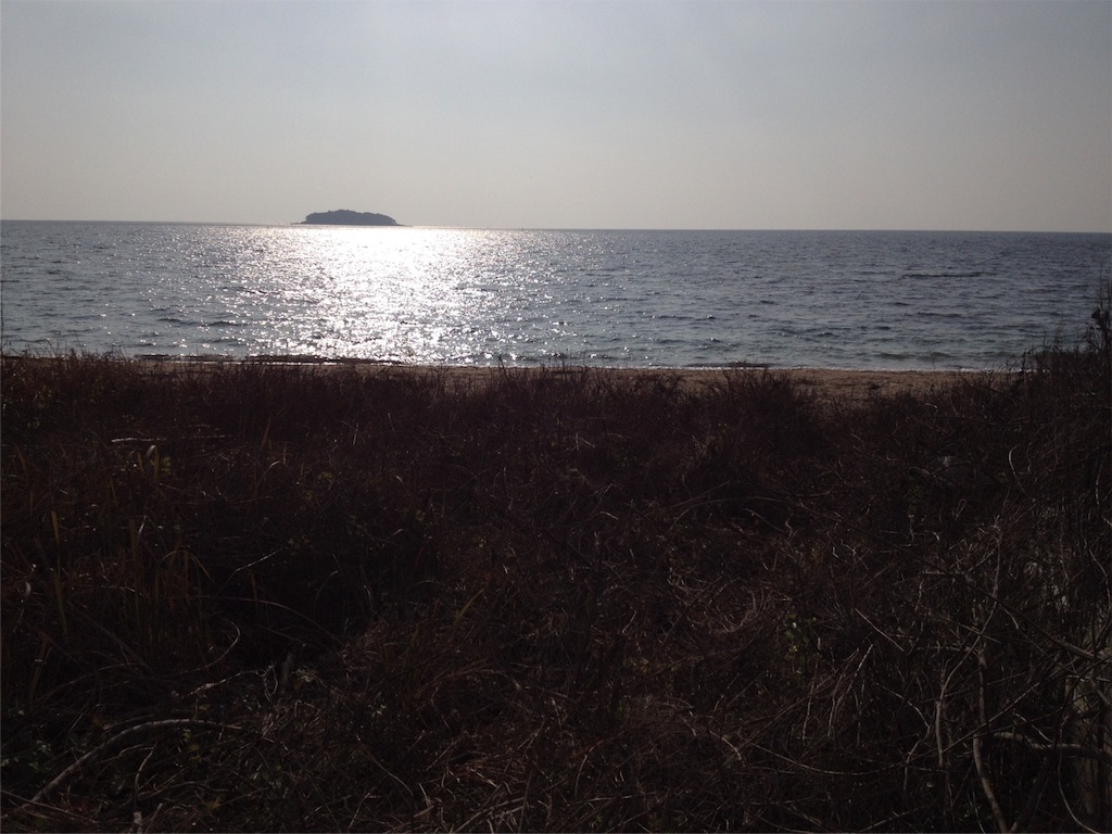 f:id:sprighascome:20160102094739j:image f:id:sprighascome:20160102094739j:image