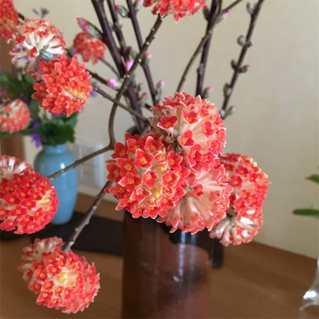 f:id:sprighascome:20160329063730j:image f:id:sprighascome:20160329063730j:image