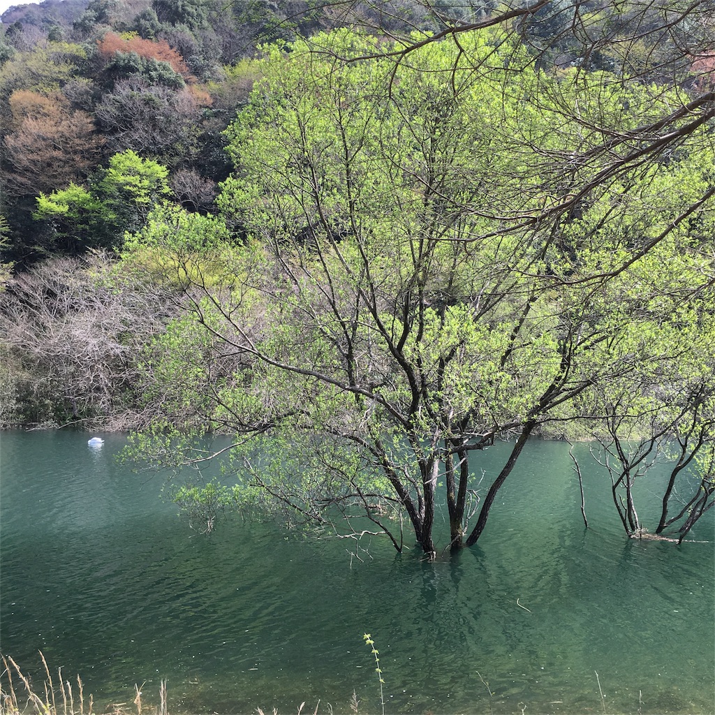 f:id:sprighascome:20160410201234j:image f:id:sprighascome:20160410201234j:image