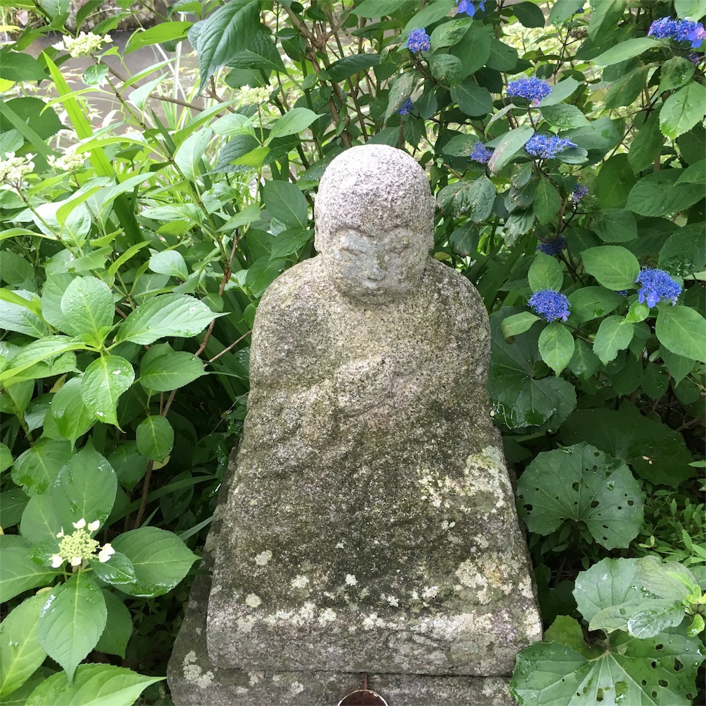 f:id:sprighascome:20160528202237j:image f:id:sprighascome:20160528202237j:image