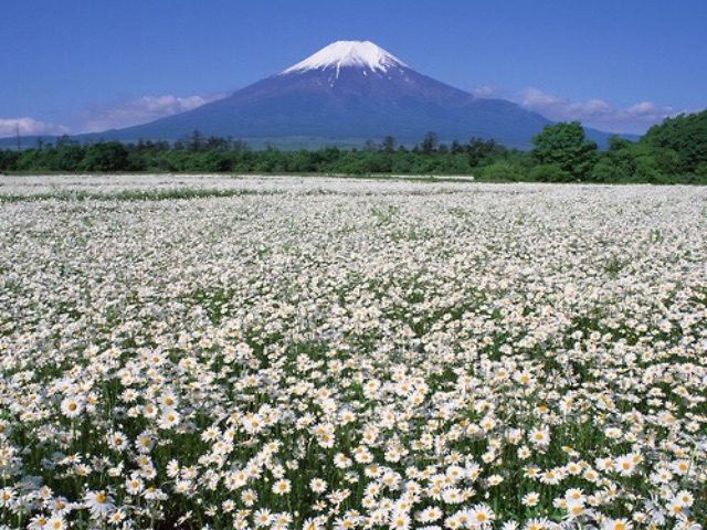 f:id:sq0r10814:20150624125816j:image f:id:sq0r10814:20150624125816j:image