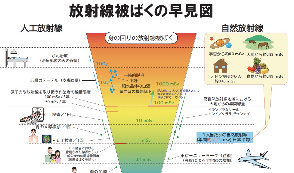放射線被ばくの早見図 画像:放射線被ばくの早見図