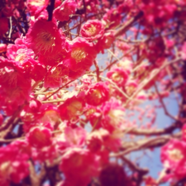 f:id:ssizen:20140330173713j:plain f:id:ssizen:20140330173713j:plain
