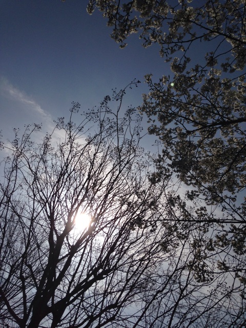 f:id:ssizen:20140401191029j:plain f:id:ssizen:20140401191029j:plain