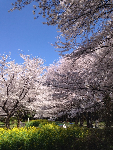 f:id:ssizen:20140405125548j:plain f:id:ssizen:20140405125548j:plain