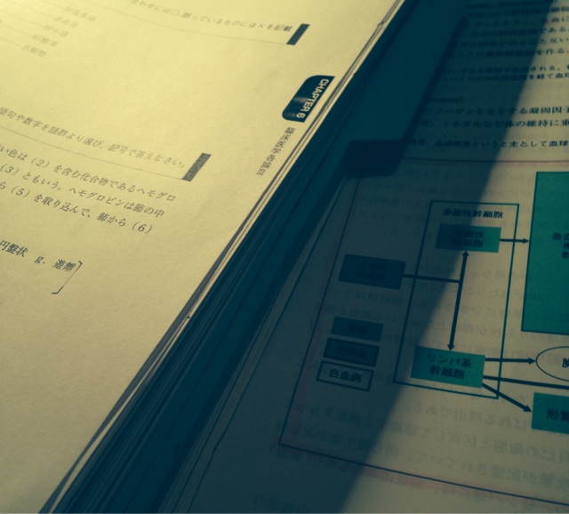 f:id:ssizen:20140405230817j:plain f:id:ssizen:20140405230817j:plain