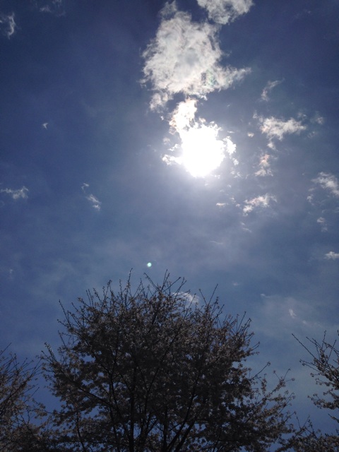 f:id:ssizen:20140509181416j:plain f:id:ssizen:20140509181416j:plain