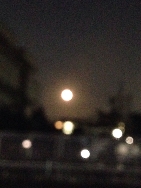 f:id:ssizen:20141117201526j:plain f:id:ssizen:20141117201526j:plain