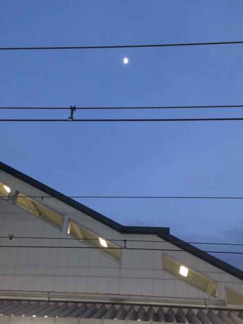 f:id:ssizen:20141130173120j:plain f:id:ssizen:20141130173120j:plain