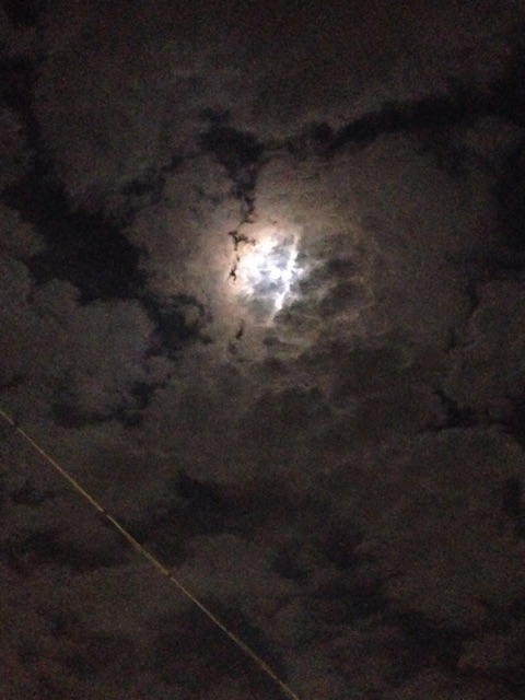 f:id:ssizen:20150223003235j:plain f:id:ssizen:20150223003235j:plain