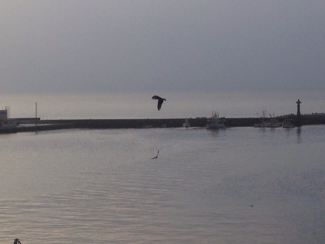 f:id:ssizen:20150306093256j:plain f:id:ssizen:20150306093256j:plain