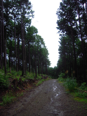 f:id:ssshumpei:20090827092615j:image:h150 f:id:ssshumpei:20090827092615j:image:h150