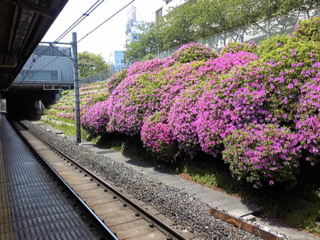 f:id:ssshumpei:20100505120553j:image f:id:ssshumpei:20100505120553j:image