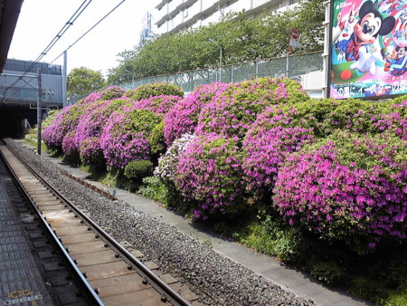 f:id:ssshumpei:20100505120655j:image f:id:ssshumpei:20100505120655j:image