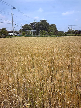f:id:ssshumpei:20110604210709j:image f:id:ssshumpei:20110604210709j:image