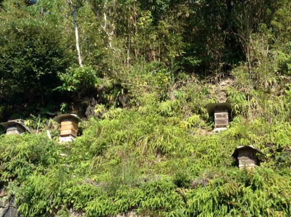 f:id:ssshumpei:20131102153141j:plain f:id:ssshumpei:20131102153141j:plain