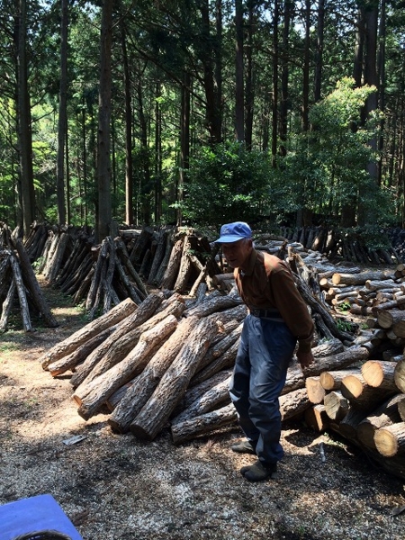 f:id:ssshumpei:20140420161132j:plain f:id:ssshumpei:20140420161132j:plain