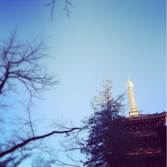f:id:sssss333:20140101151308j:plain f:id:sssss333:20140101151308j:plain