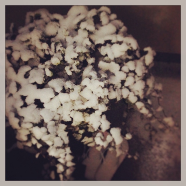 f:id:sssss333:20140209155855j:plain f:id:sssss333:20140209155855j:plain