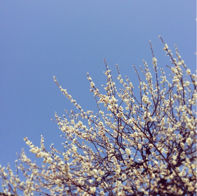 f:id:sssss333:20140312210320j:plain f:id:sssss333:20140312210320j:plain