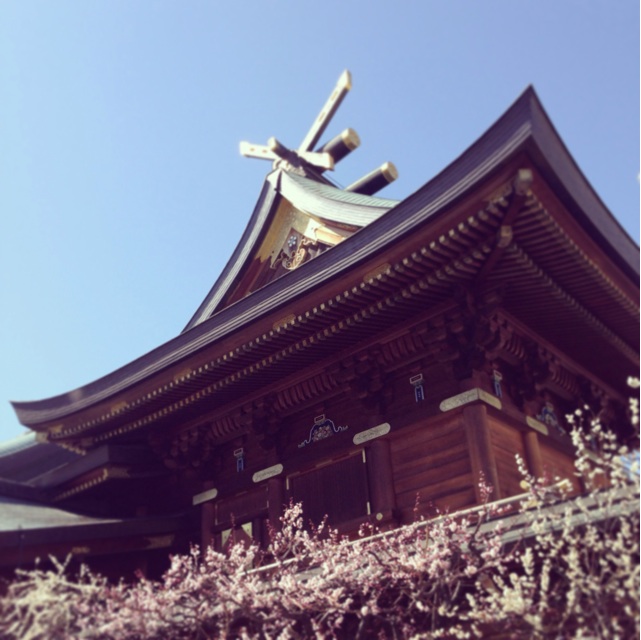 f:id:sssss333:20140312210337j:plain f:id:sssss333:20140312210337j:plain
