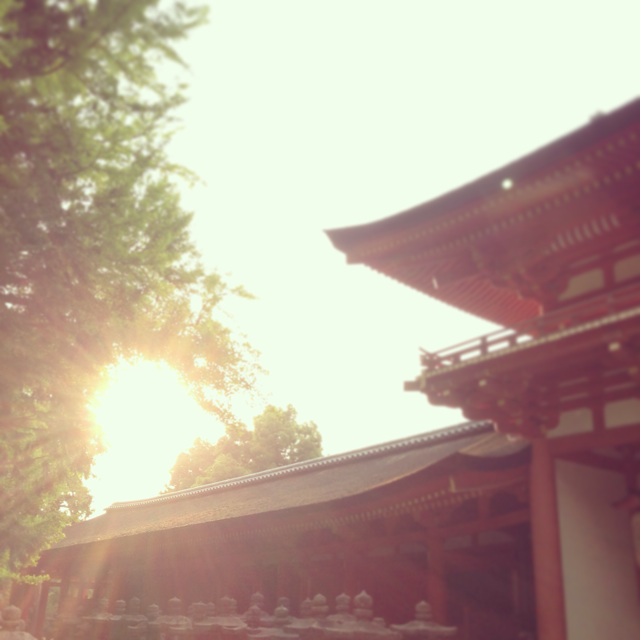 f:id:sssss333:20140616070017j:plain f:id:sssss333:20140616070017j:plain