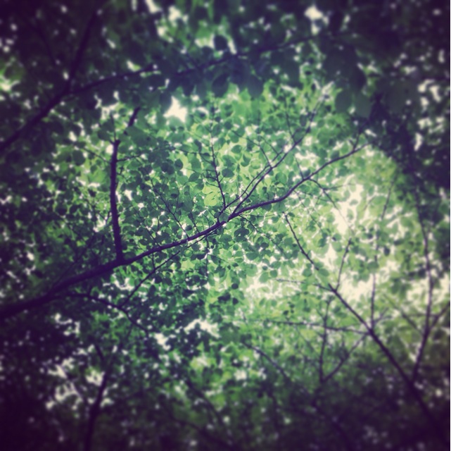 f:id:sssss333:20140620140337j:plain f:id:sssss333:20140620140337j:plain