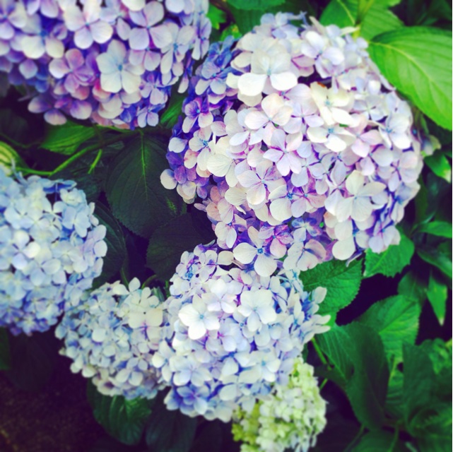 f:id:sssss333:20140624164104j:plain f:id:sssss333:20140624164104j:plain