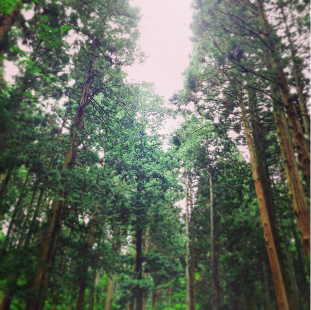 f:id:sssss333:20140707142151j:plain f:id:sssss333:20140707142151j:plain