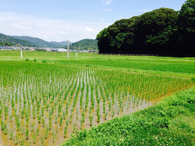 f:id:sssss333:20140720102752j:plain f:id:sssss333:20140720102752j:plain