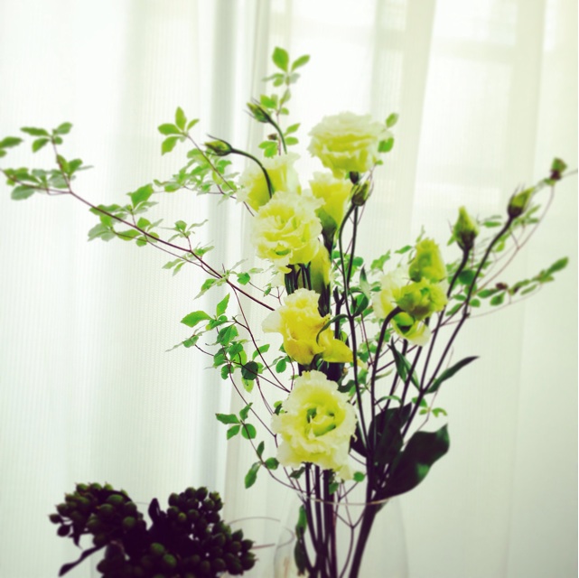 f:id:sssss333:20140722232006j:plain f:id:sssss333:20140722232006j:plain