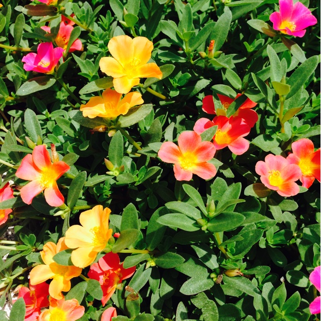 f:id:sssss333:20140801121019j:plain f:id:sssss333:20140801121019j:plain