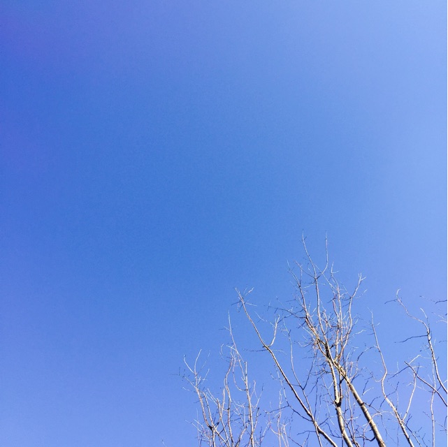 f:id:sssss333:20150102162247j:plain f:id:sssss333:20150102162247j:plain
