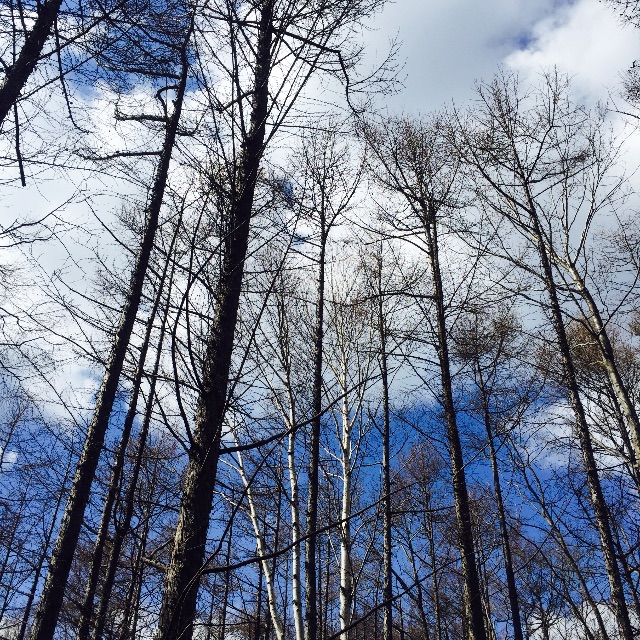 f:id:sssss333:20150422084503j:image f:id:sssss333:20150422084503j:image