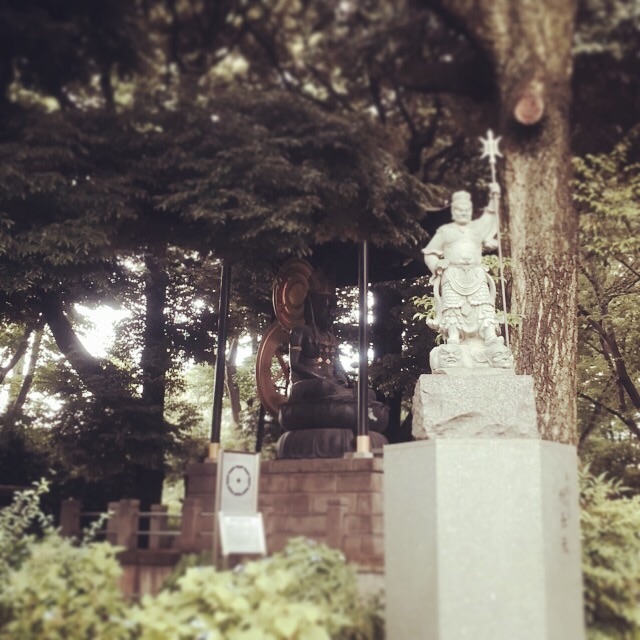 f:id:sssss333:20150613152153j:image f:id:sssss333:20150613152153j:image