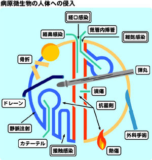 f:id:starbucksfanfan:20140818032511j:plain f:id:starbucksfanfan:20140818032511j:plain