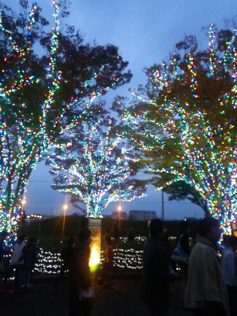 f:id:starlights123:20151107191117j:image f:id:starlights123:20151107191117j:image