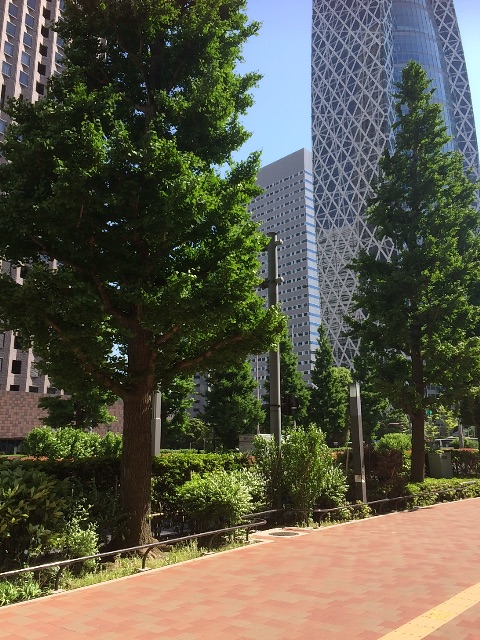f:id:steavejobs0814:20150510100306j:image f:id:steavejobs0814:20150510100306j:image