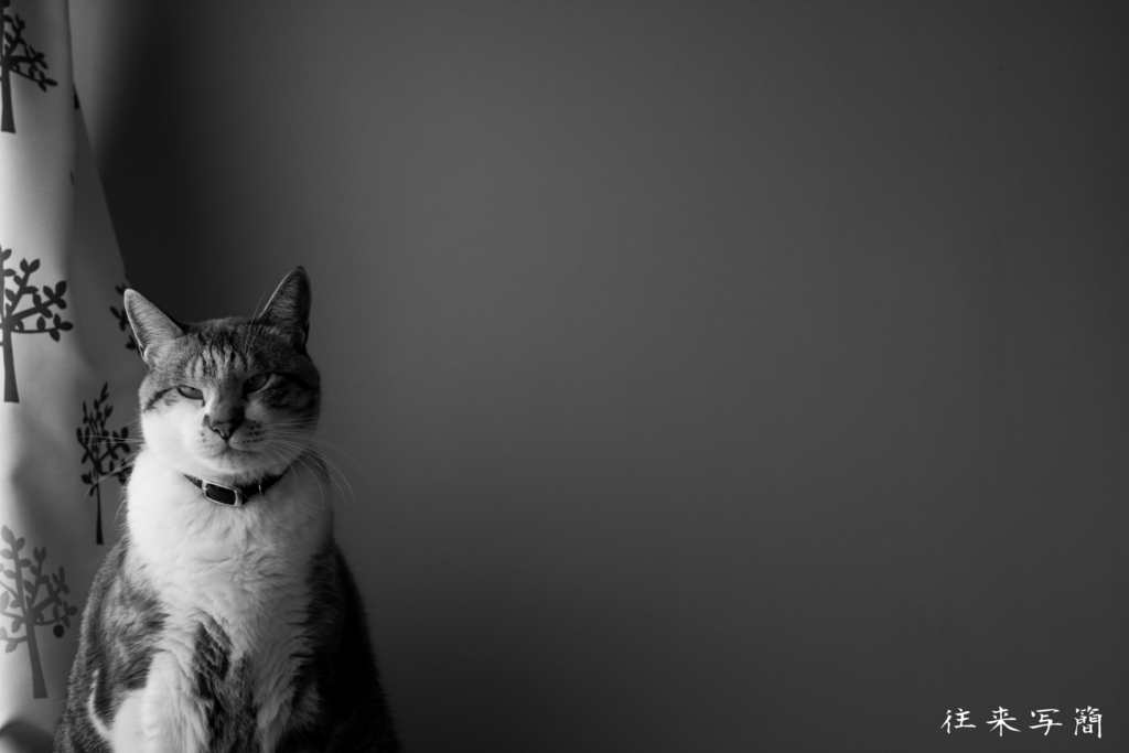 f:id:stelo-m3:20151126202904j:plain f:id:stelo-m3:20151126202904j:plain