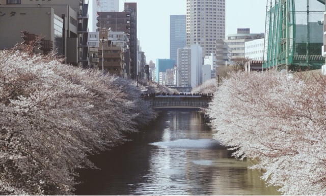 f:id:stillsleepy:20140311100312j:plain f:id:stillsleepy:20140311100312j:plain