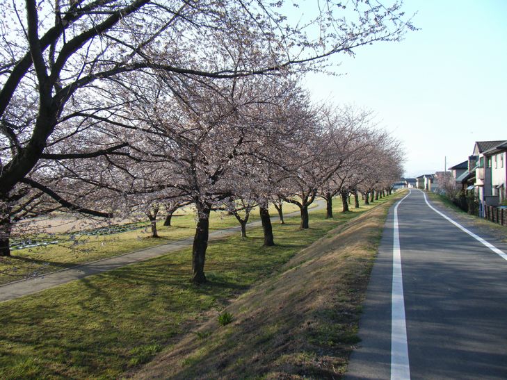 f:id:street-man:20140401215341j:plain f:id:street-man:20140401215341j:plain