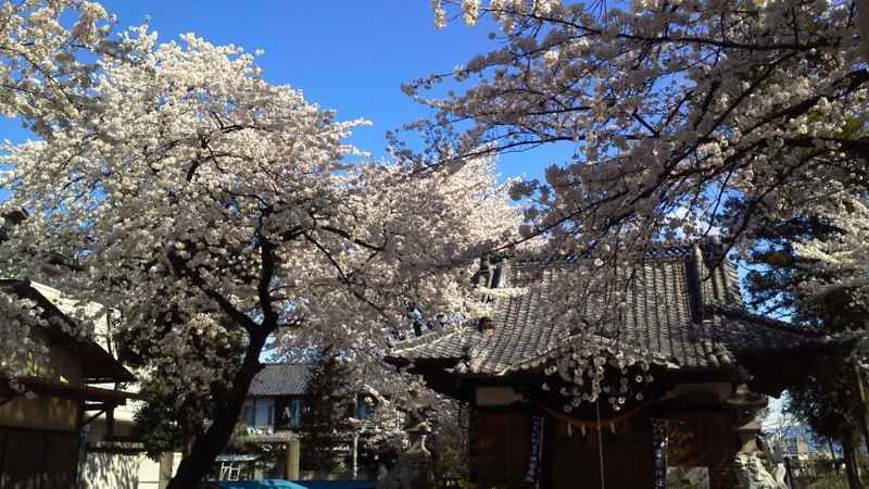 f:id:street-man:20140405085647j:plain f:id:street-man:20140405085647j:plain