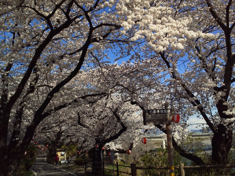 f:id:street-man:20140405091133j:plain f:id:street-man:20140405091133j:plain