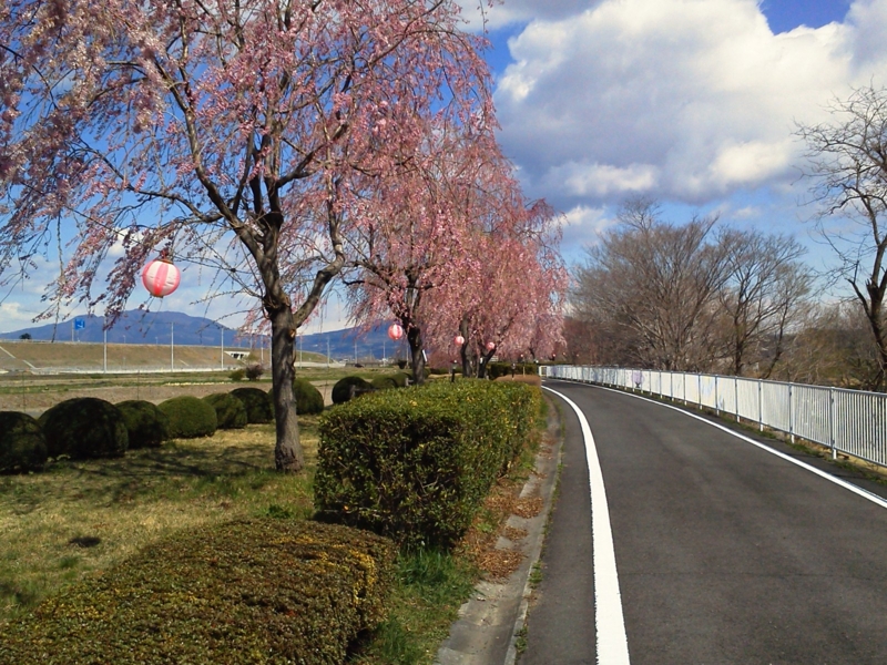 f:id:street-man:20140405094844j:plain f:id:street-man:20140405094844j:plain