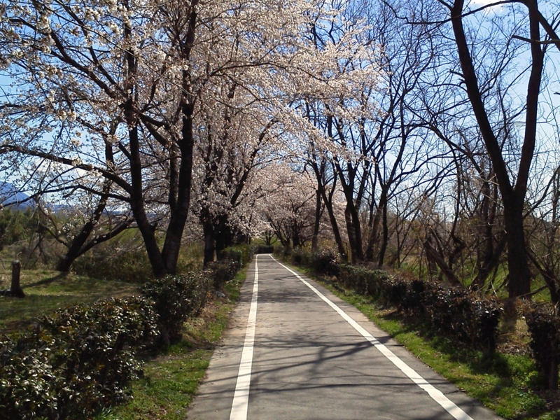 f:id:street-man:20140405102837j:plain f:id:street-man:20140405102837j:plain