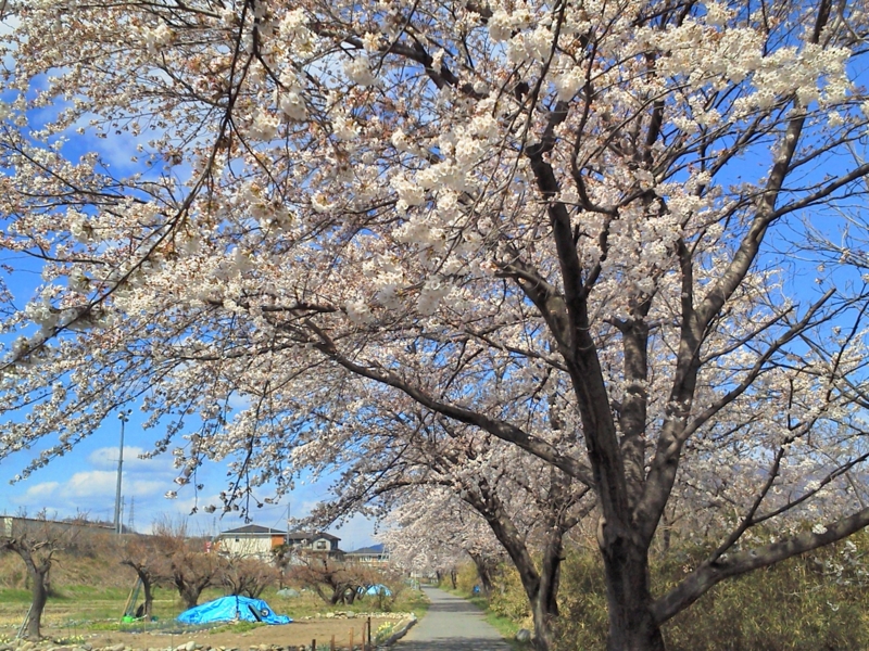 f:id:street-man:20140405103209j:plain f:id:street-man:20140405103209j:plain