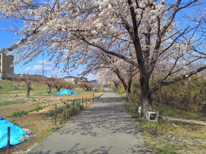 f:id:street-man:20140405103217j:plain f:id:street-man:20140405103217j:plain